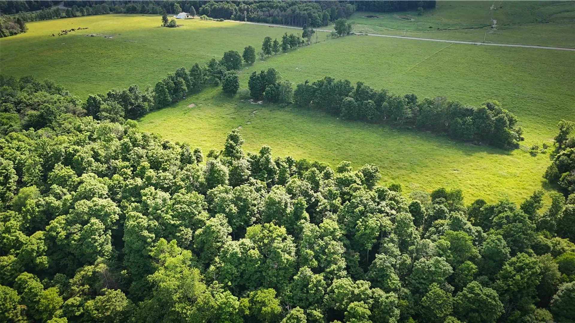 Property at V/L-4 Putt Hill Road, Chemung, NY 14825 27