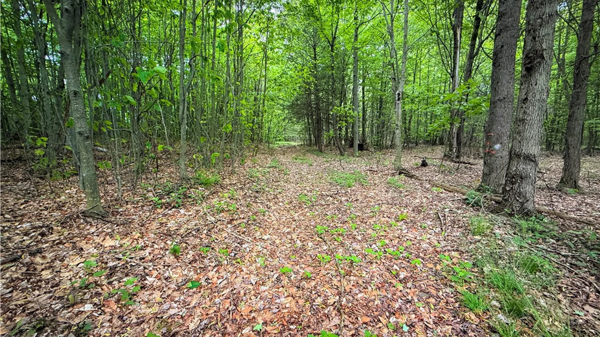 Property at V/L-5 Simcoe Hill Rd Road, Chemung, NY 14825 5