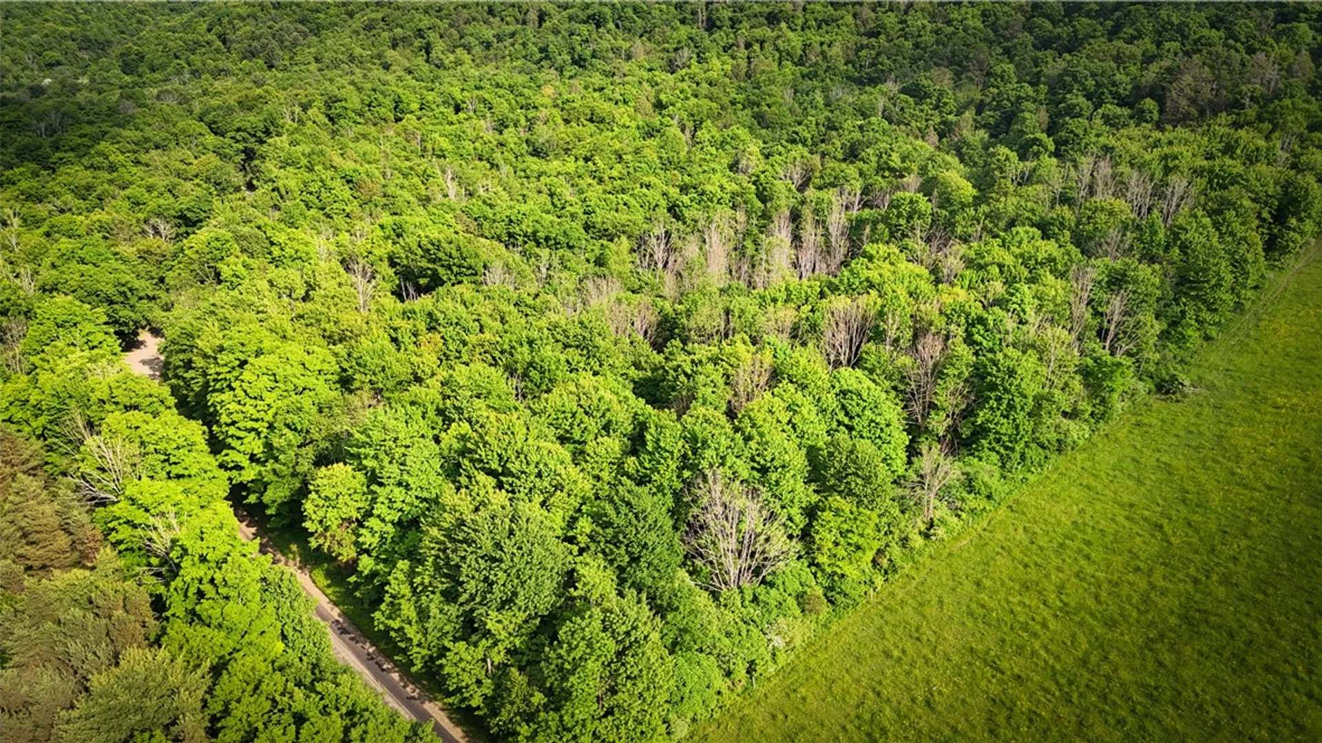 Property at V/L-5 Simcoe Hill Rd Road, Chemung, NY 14825 9
