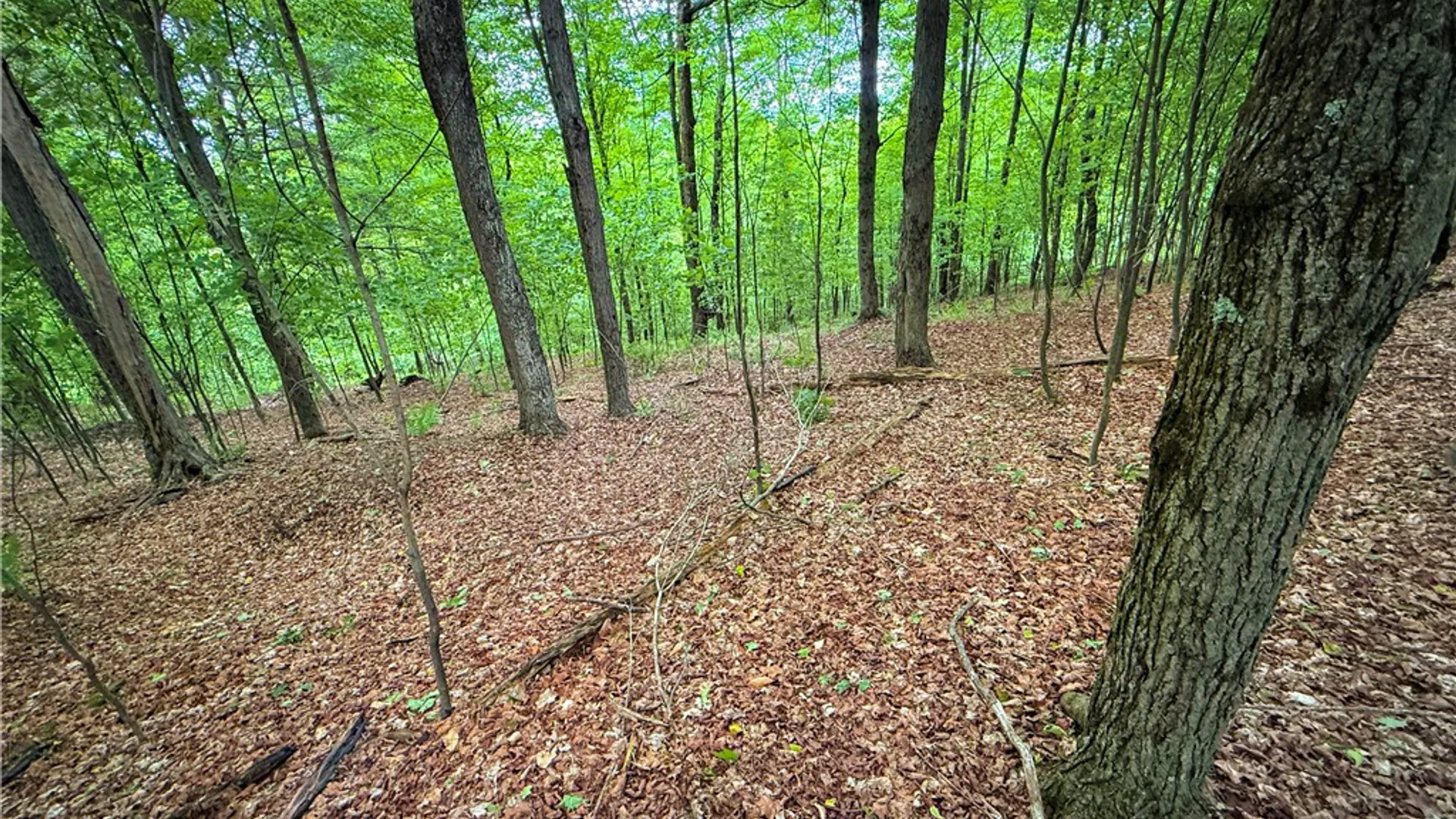 Property at V/L-5 Simcoe Hill Rd Road, Chemung, NY 14825 23