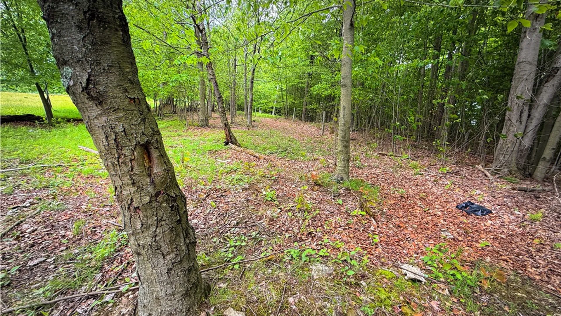 Property at V/L-5 Simcoe Hill Rd Road, Chemung, NY 14825 24