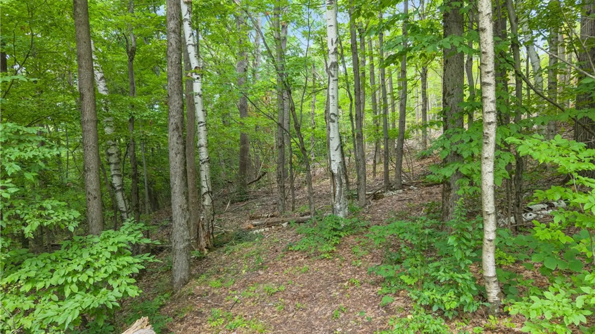 Property at 567 Cotton Hill Road, Middleburgh, NY 12122 42