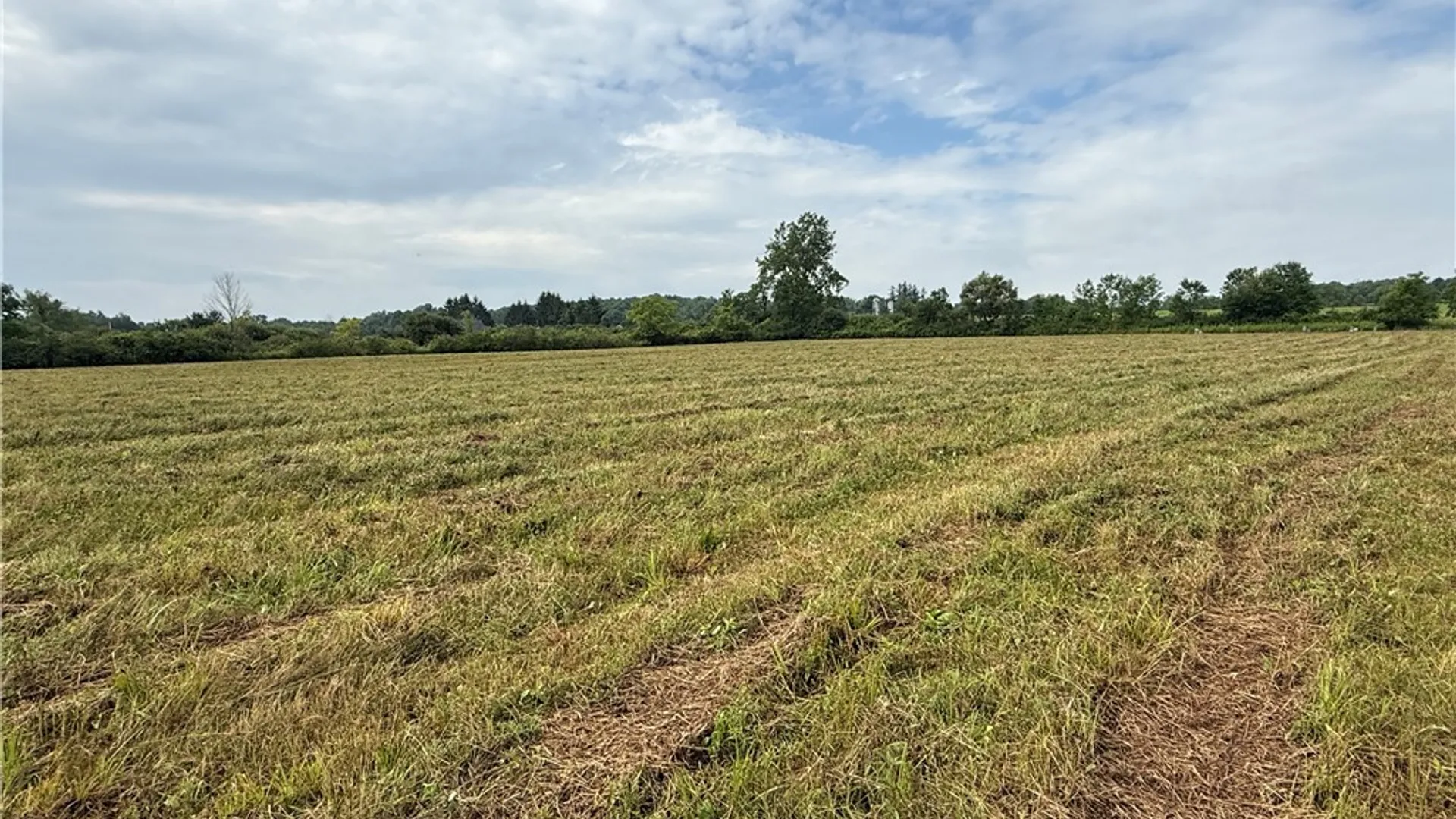 Property at Halseyville Road, Enfield, NY 14886 3