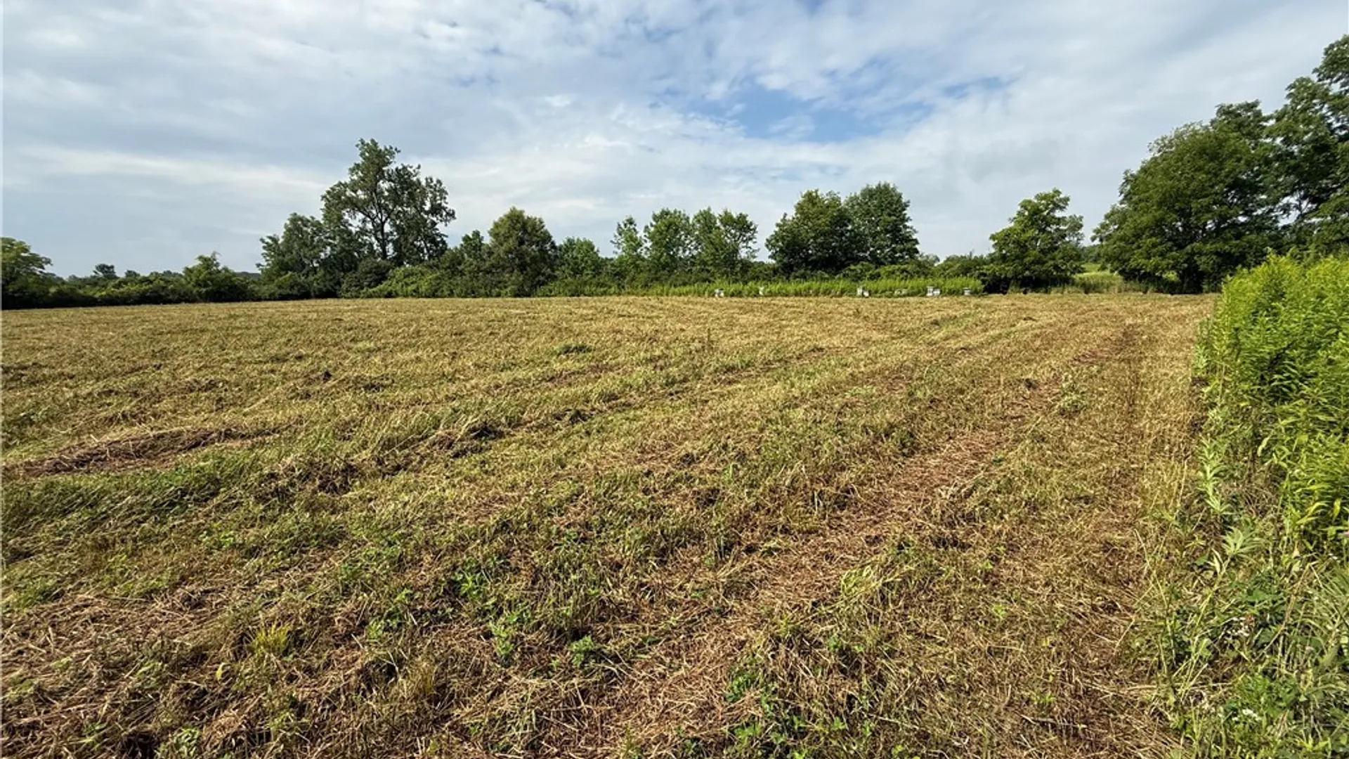 Property at Halseyville Road, Enfield, NY 14886 6
