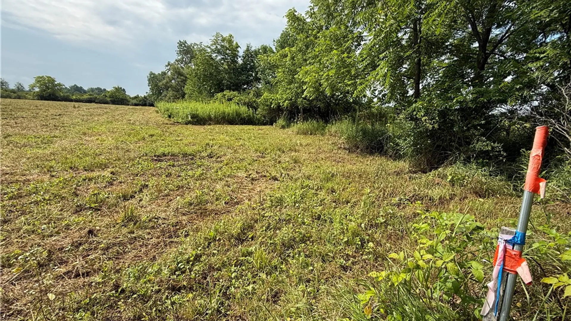 Property at Halseyville Road, Enfield, NY 14886 7