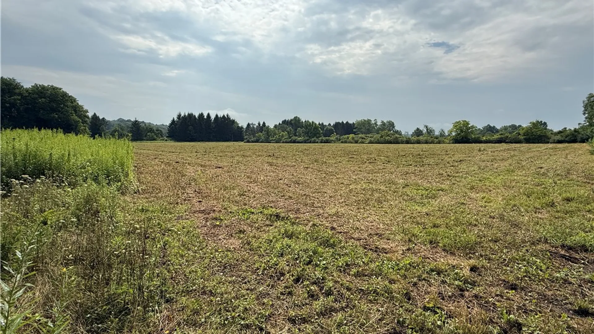 Property at Halseyville Road, Enfield, NY 14886 8