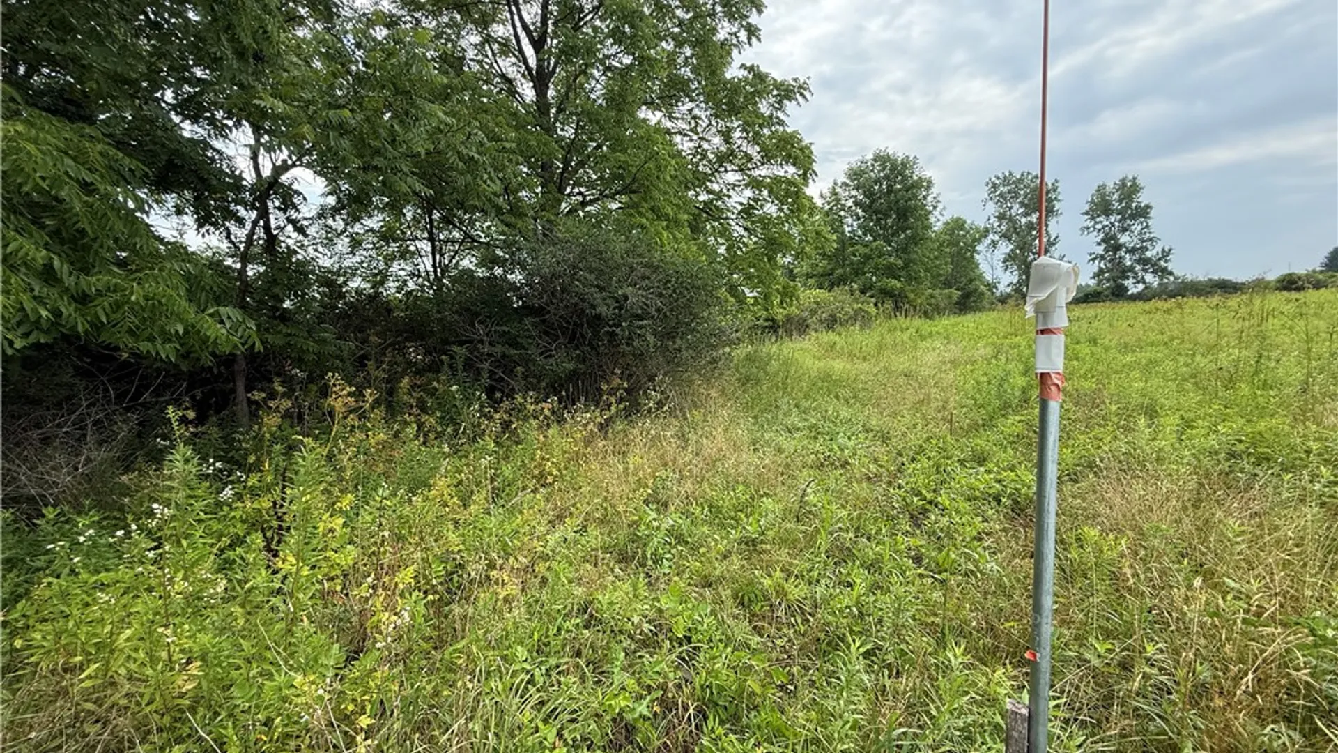 Property at Halseyville Road, Enfield, NY 14886 9