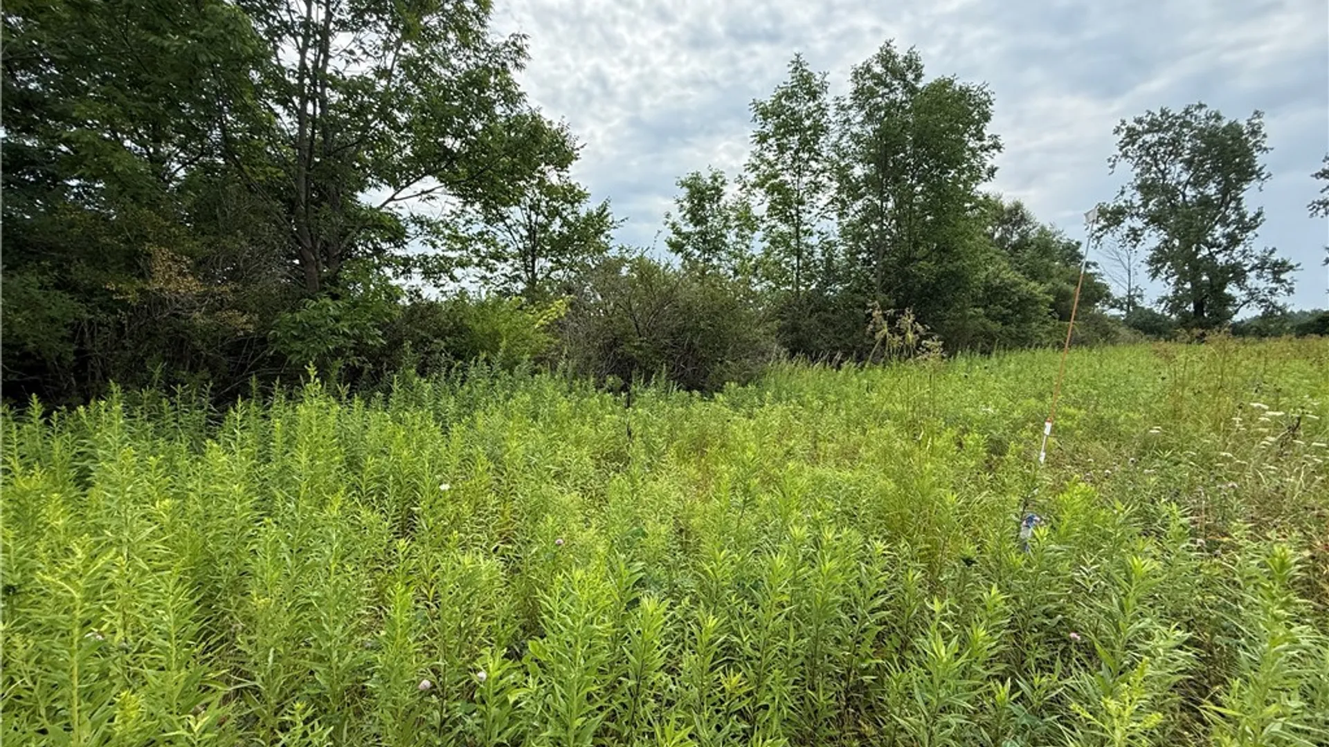 Property at Halseyville Road, Enfield, NY 14886 10