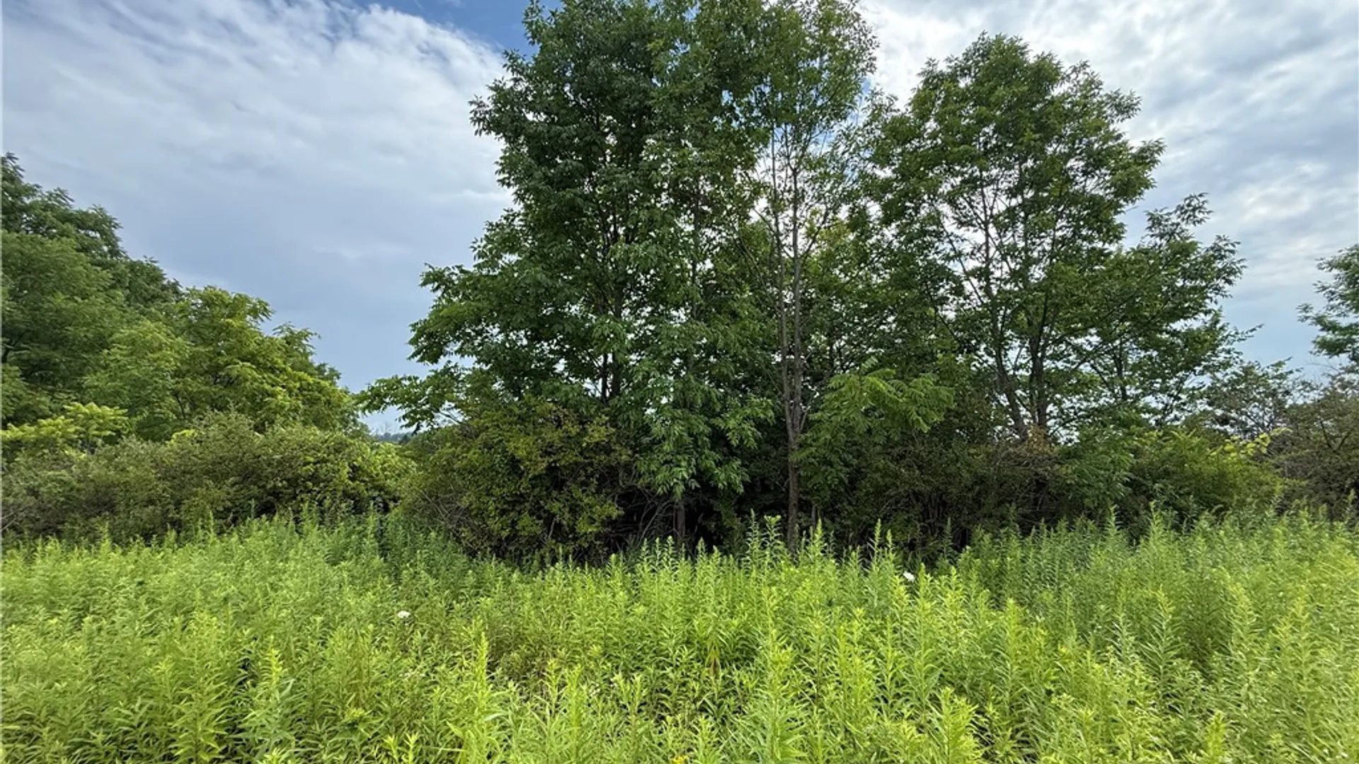 Property at Halseyville Road, Enfield, NY 14886 11