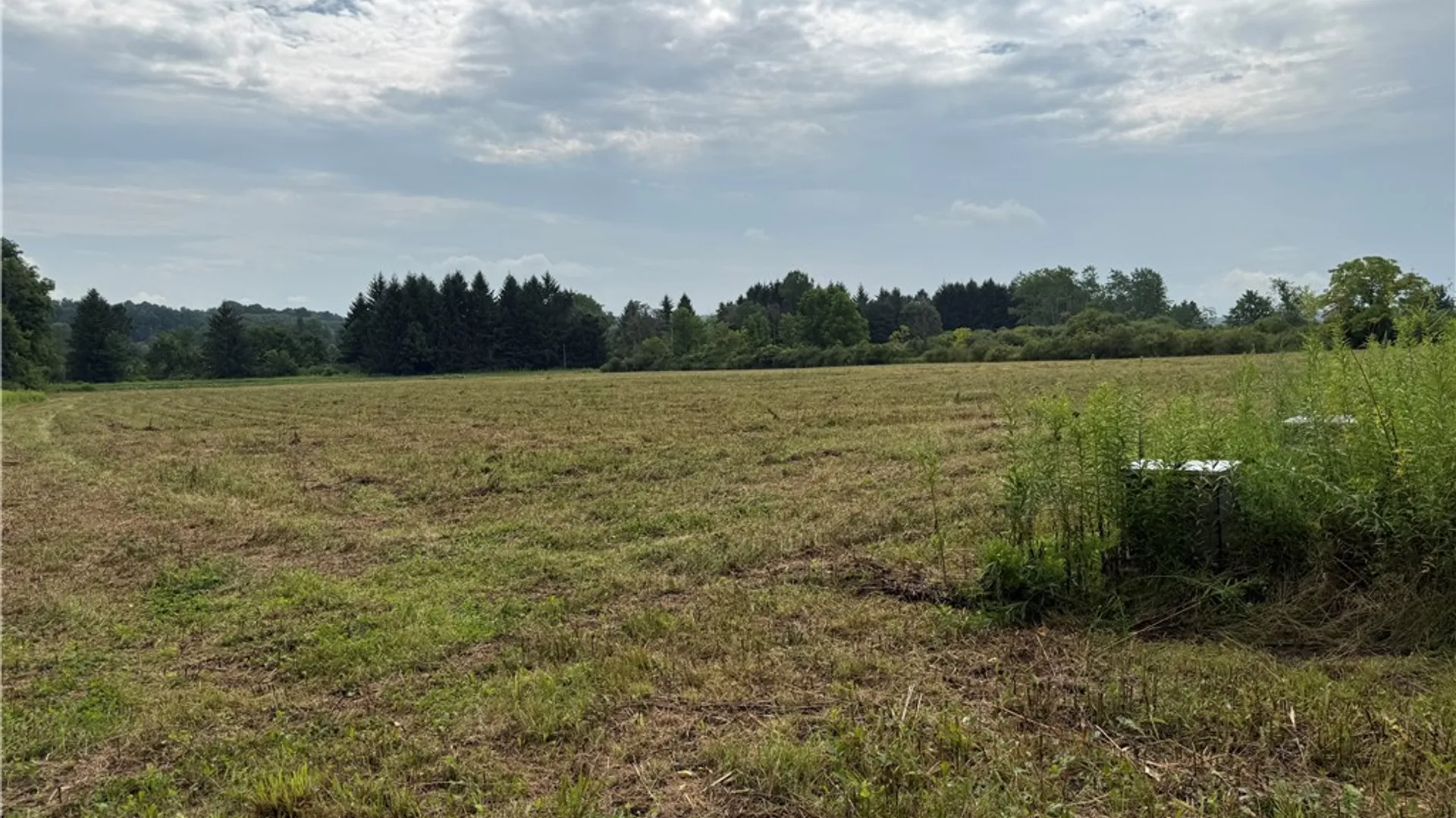 Property at Halseyville Road, Enfield, NY 14886 13
