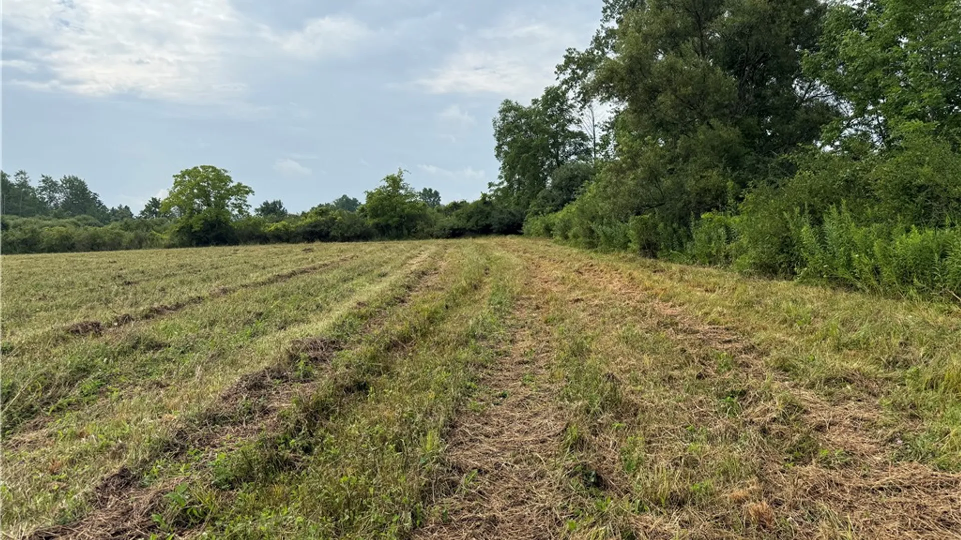 Property at Halseyville Road, Enfield, NY 14886 14