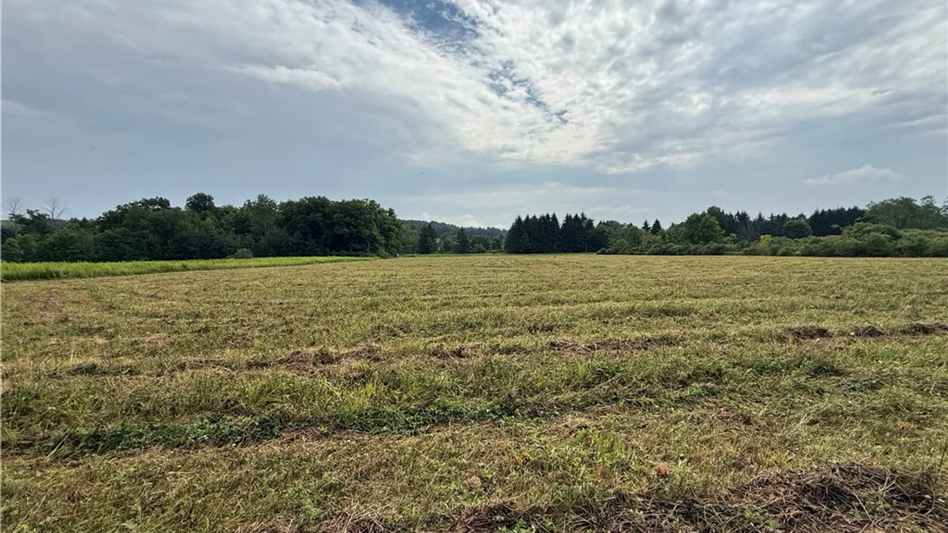 Property at Halseyville Road, Enfield, NY 14886 15