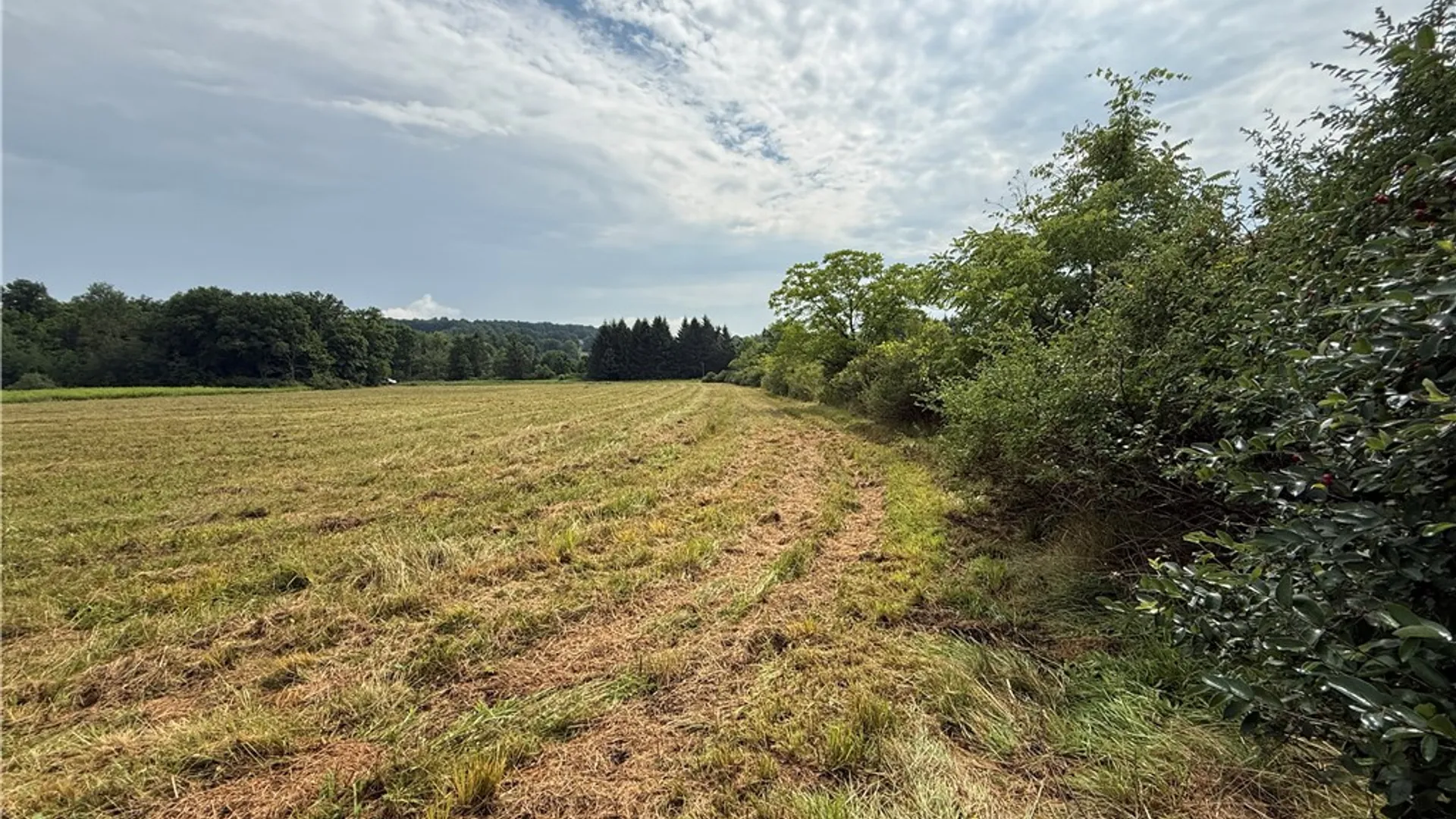 Property at Halseyville Road, Enfield, NY 14886 16