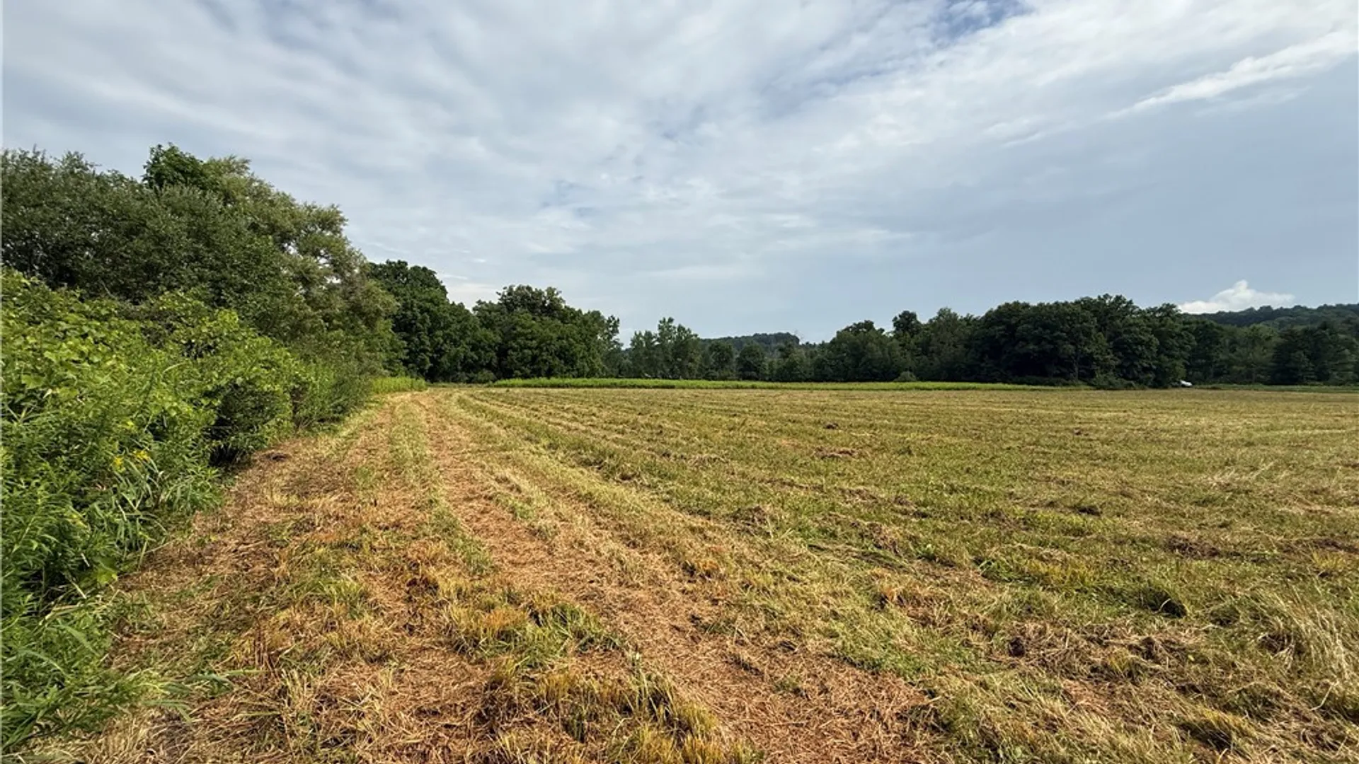 Property at Halseyville Road, Enfield, NY 14886 17