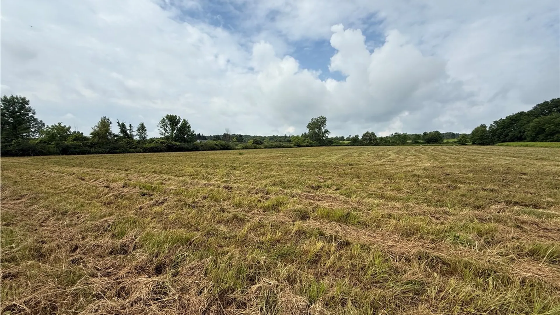 Property at Halseyville Road, Enfield, NY 14886 21