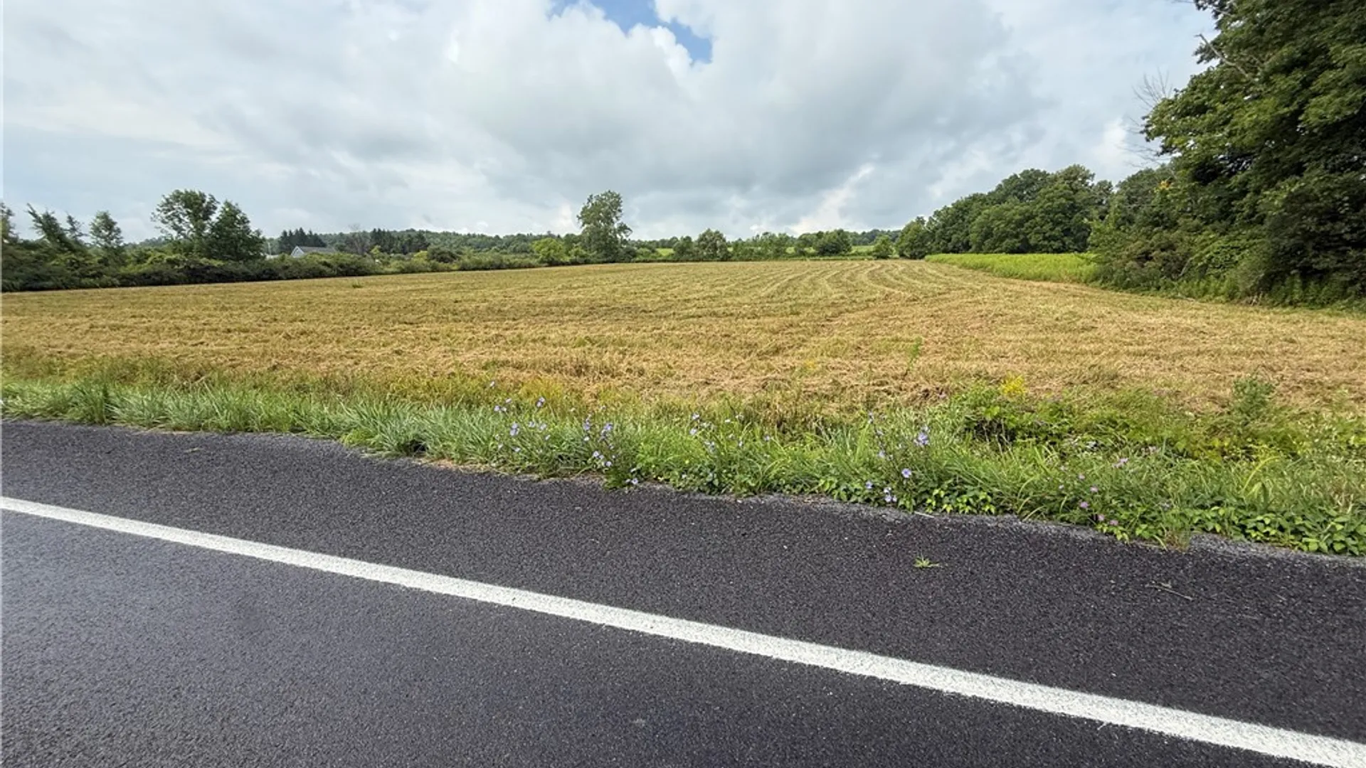 Property at Halseyville Road, Enfield, NY 14886 23