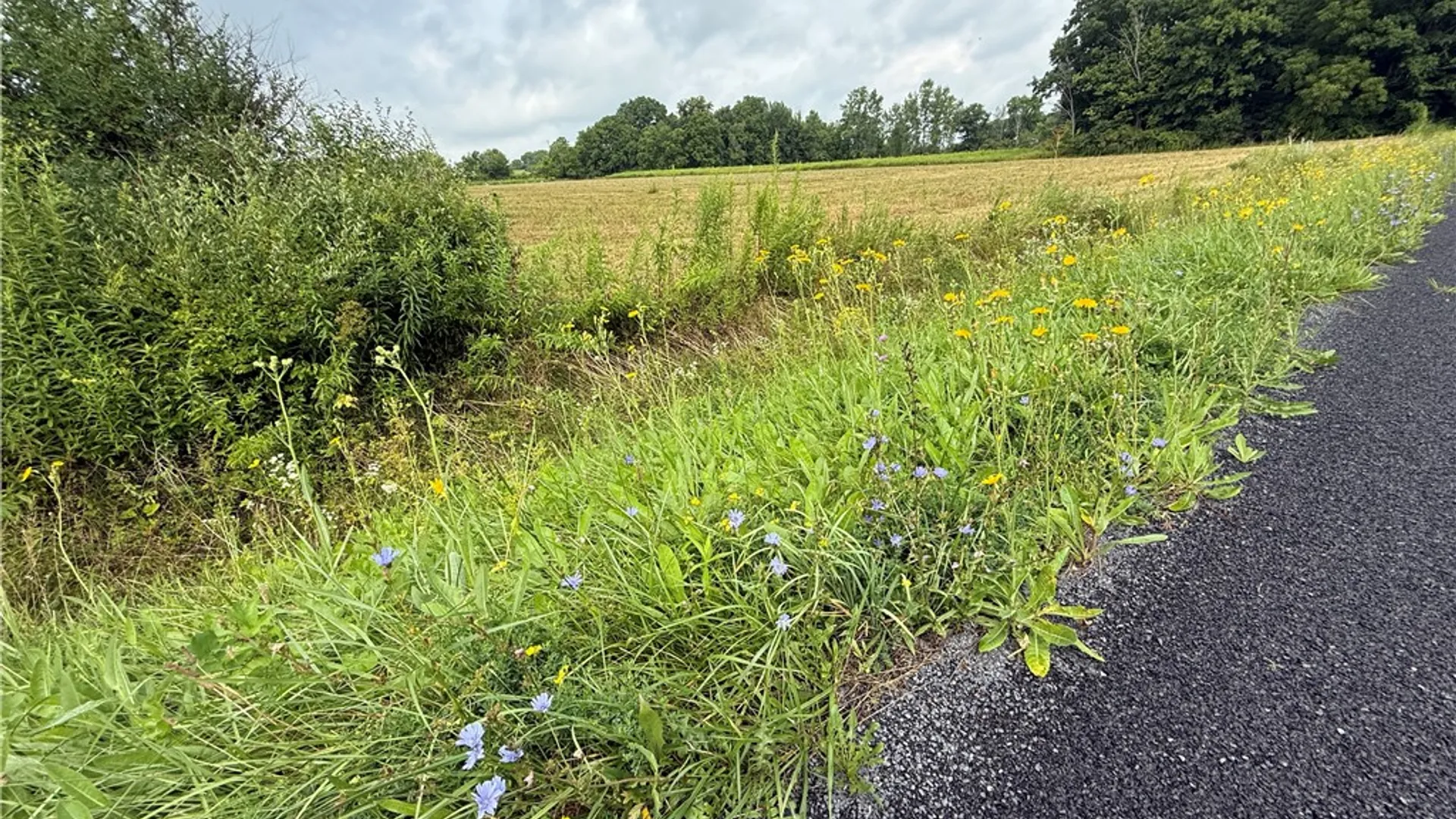 Property at Halseyville Road, Enfield, NY 14886 25