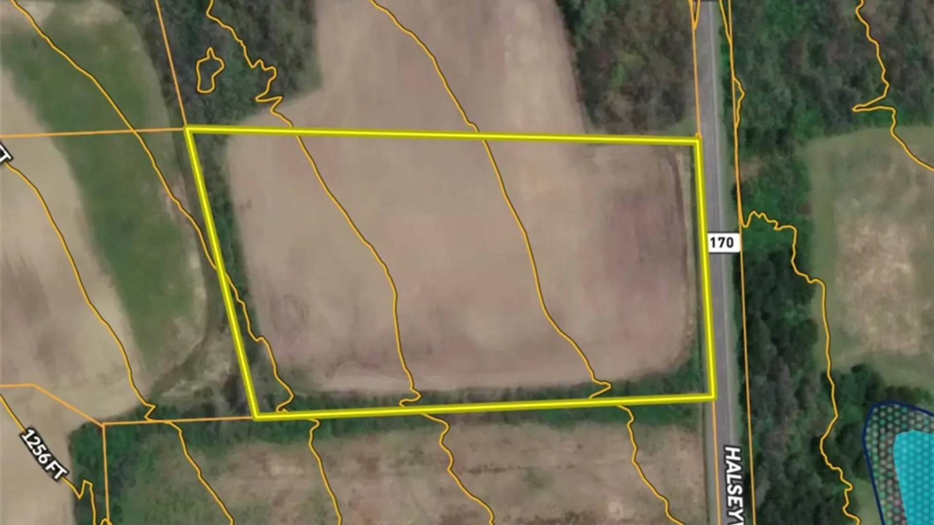 Property at Halseyville Road, Enfield, NY 14886 28