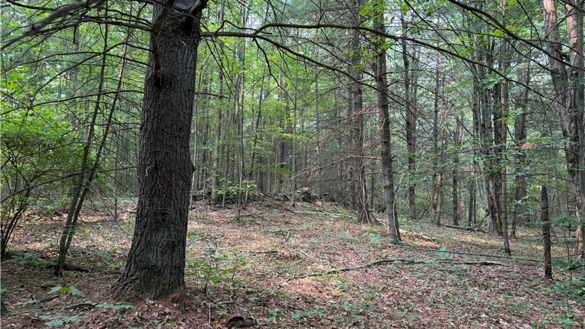 Property at WP01 Starr Road, Thurston, NY 14821 34