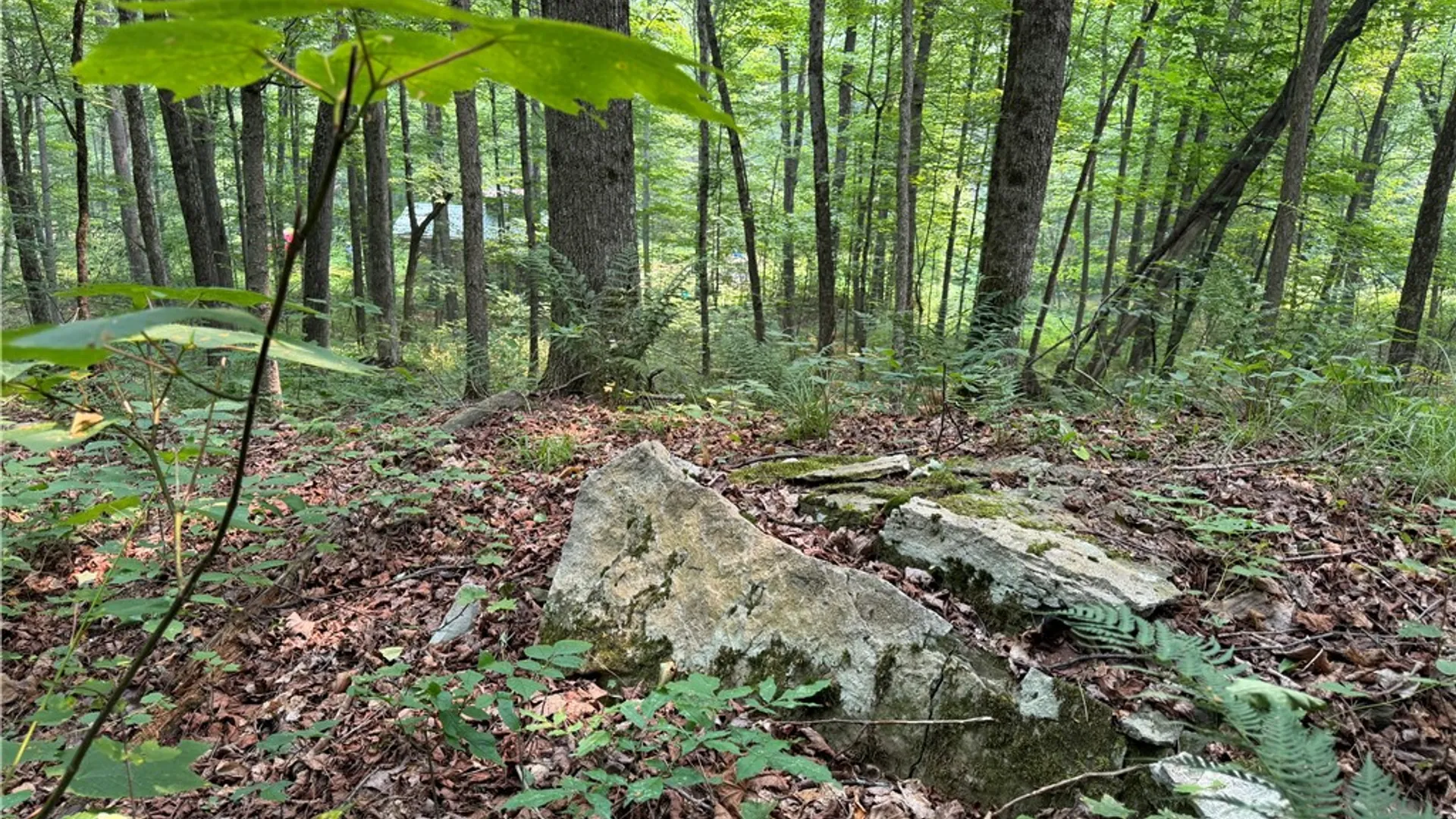 Property at WP01 Starr Road, Thurston, NY 14821 39