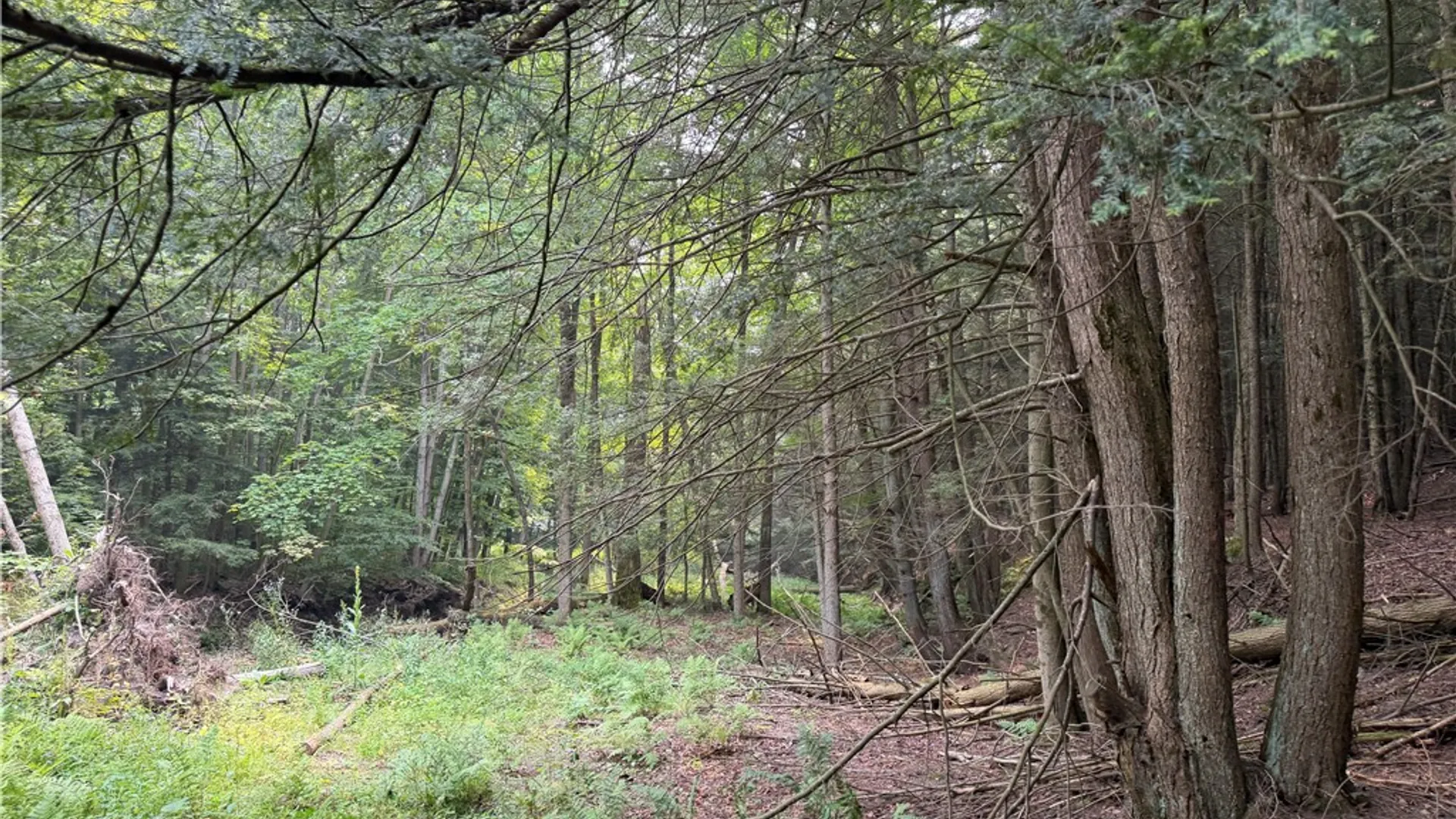 Property at WP01 Starr Road, Thurston, NY 14821 43