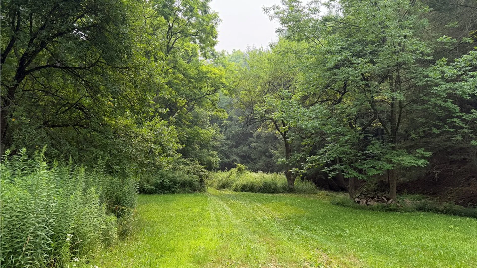 Property at WP01 Starr Road, Thurston, NY 14821 46