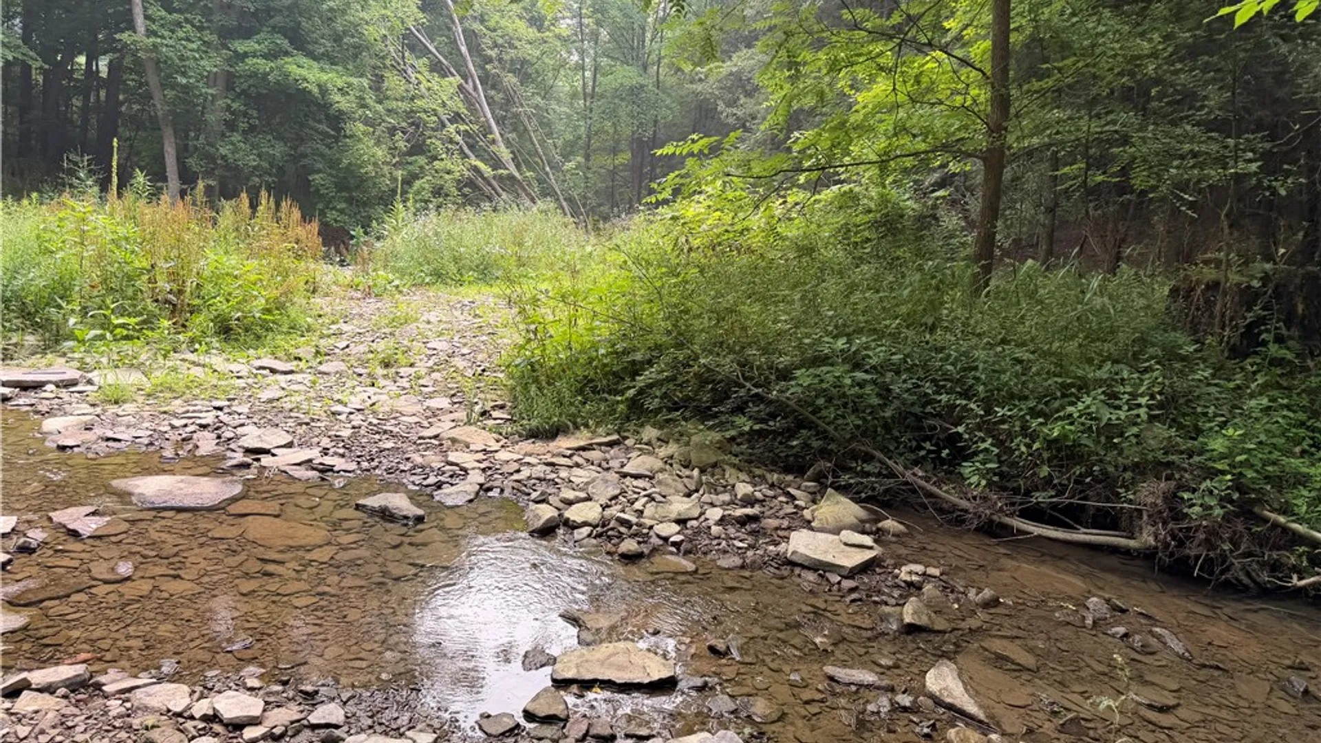 Property at WP01 Starr Road, Thurston, NY 14821 8