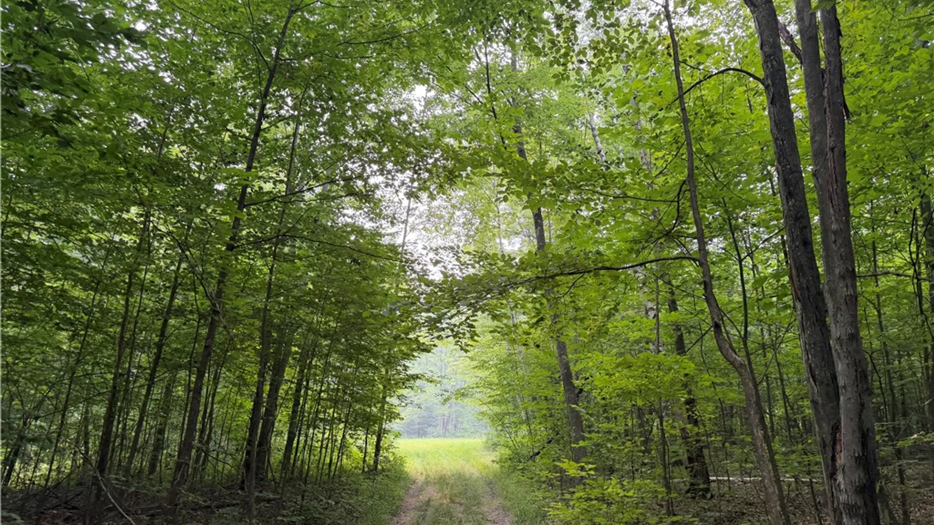 Property at WP01 Starr Road, Thurston, NY 14821 10