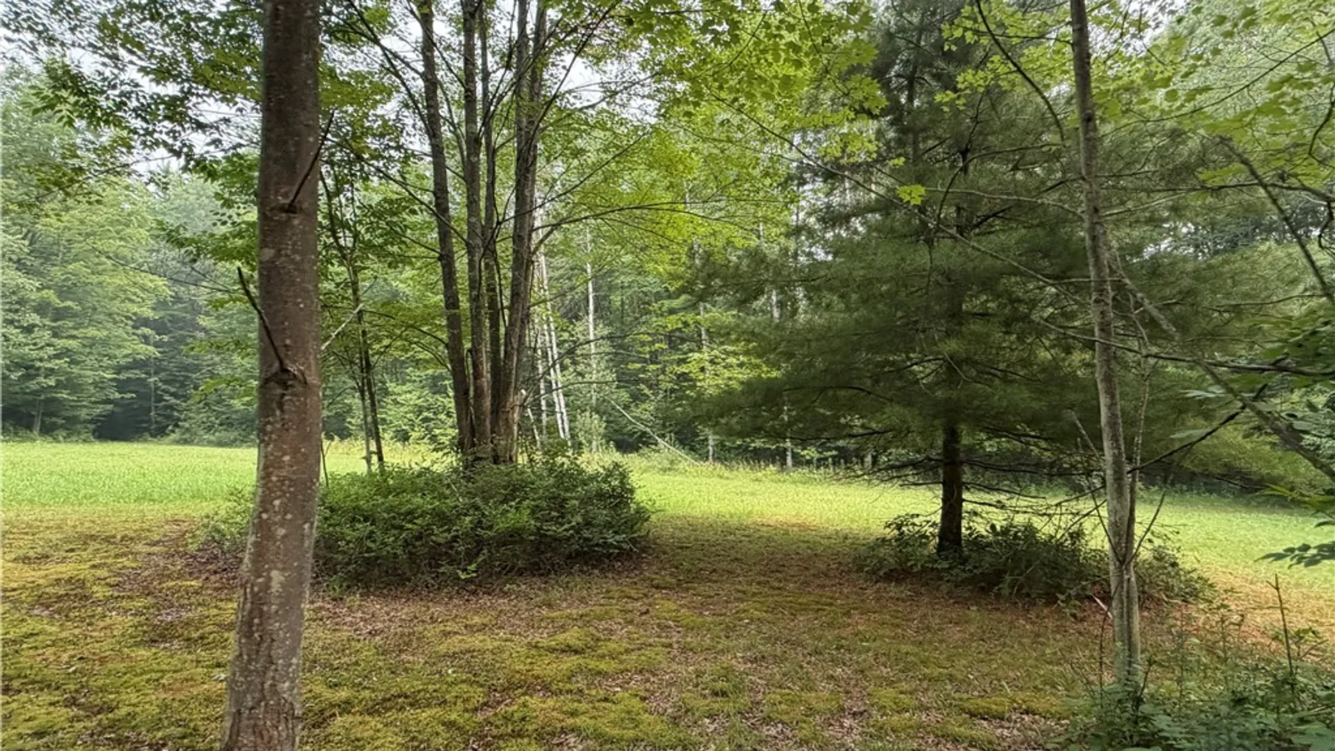 Property at WP01 Starr Road, Thurston, NY 14821 12