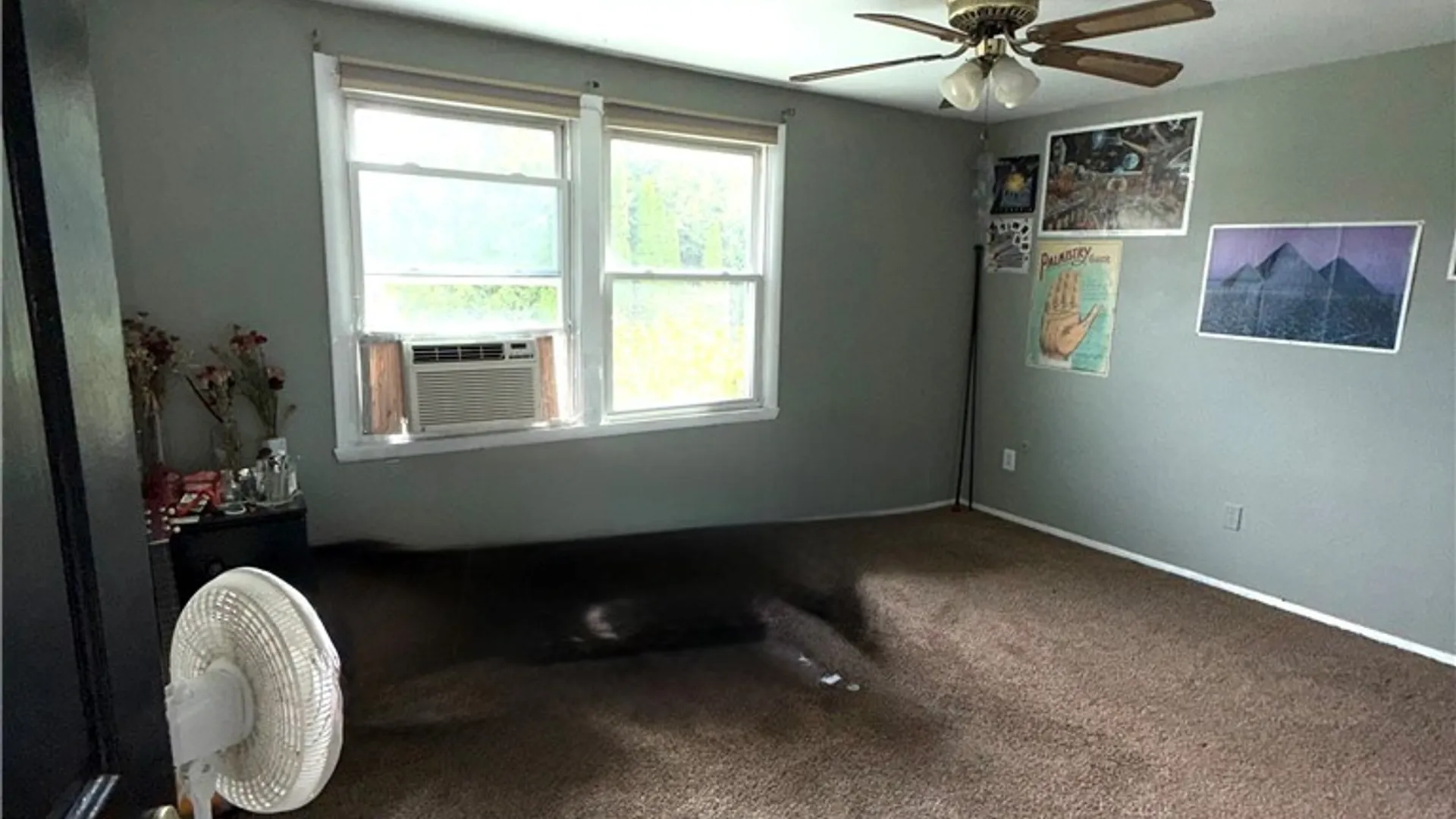 Property at 4103 Tannis Terrace, Salina, NY 13090 12