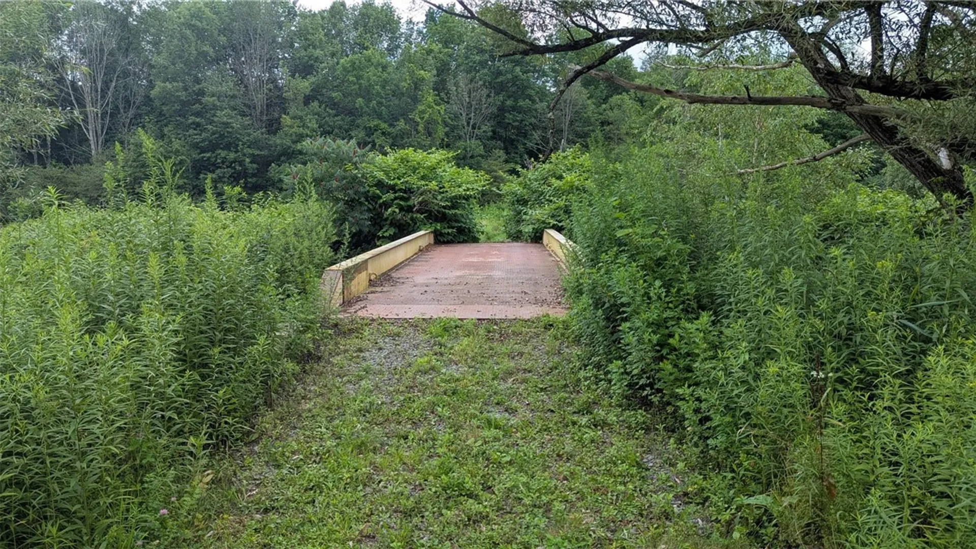 Property at 10777 County Highway 21, Franklin, NY 13775 5