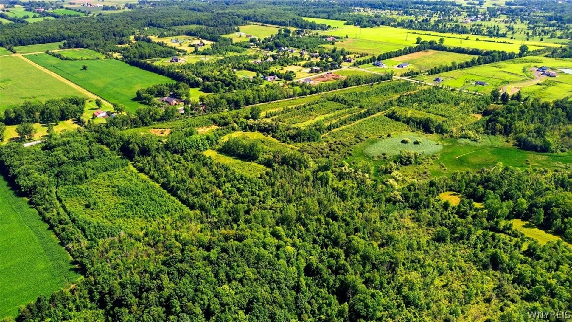 Property at 00 Barnum Rd Lot #1, Newstead, NY 14001 34