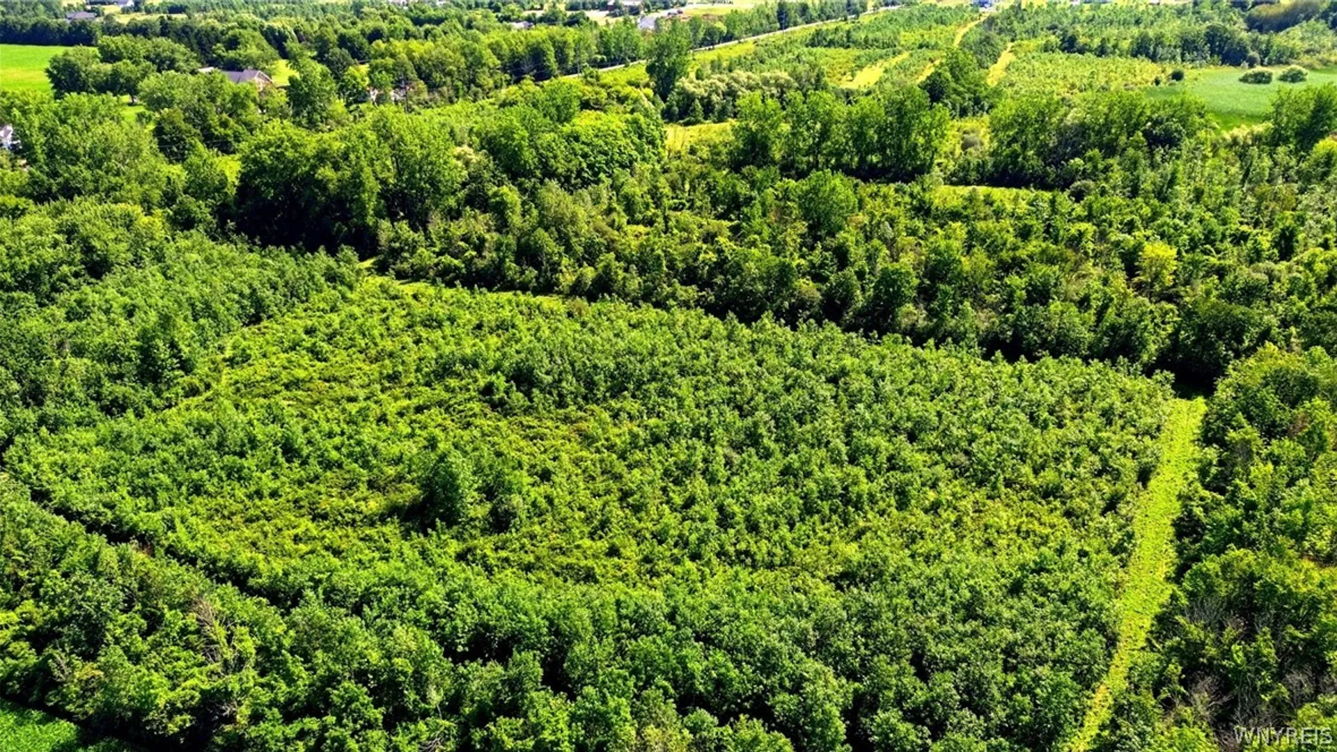 Property at 00 Barnum Rd Lot# 4, Newstead, NY 14001 36
