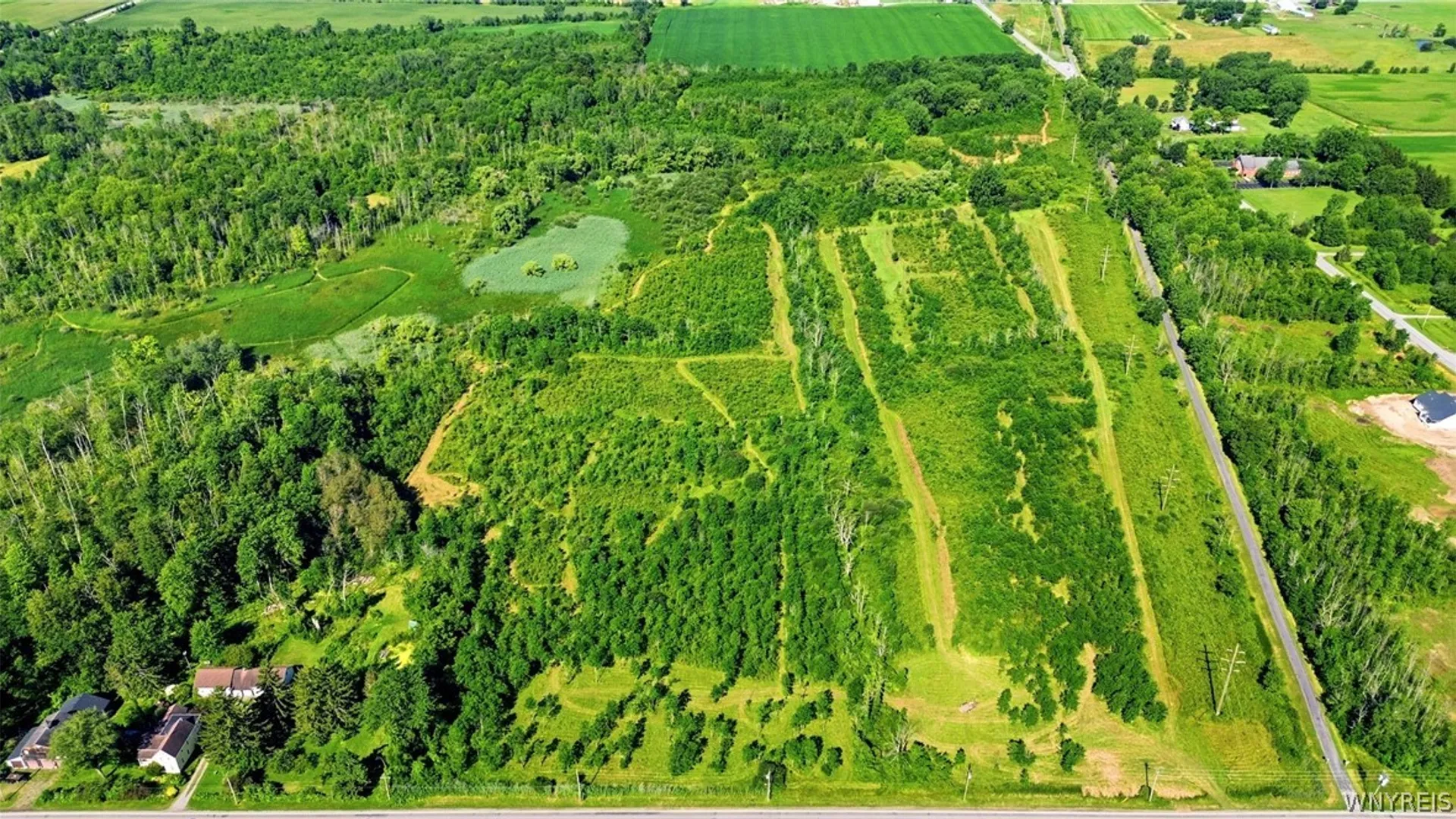 Property at 00 Barnum Rd Lot# 4, Newstead, NY 14001 7