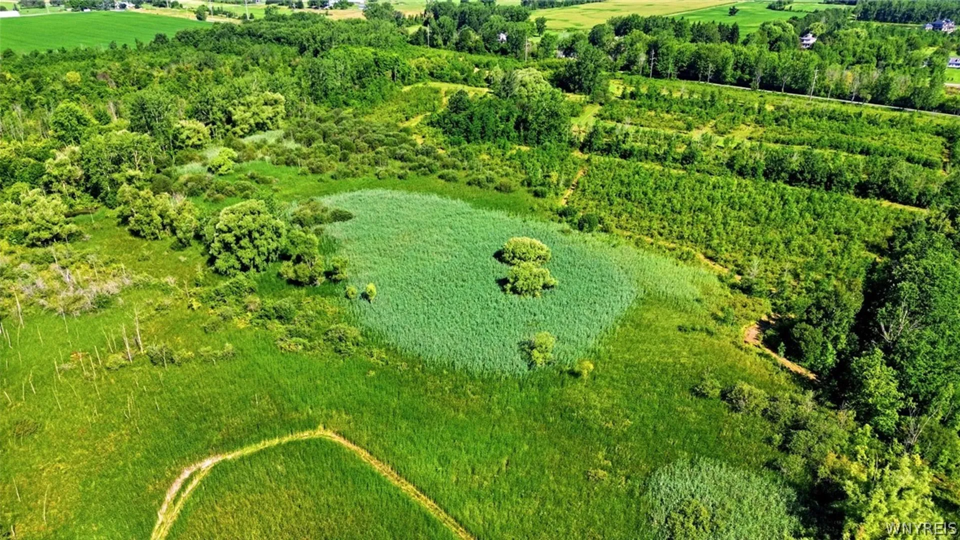 Property at 00 Barnum Rd Lot# 4, Newstead, NY 14001 15