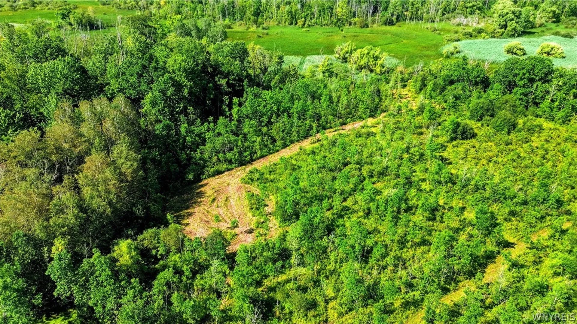 Property at 00 Barnum Rd Lot# 3, Newstead, NY 14001 25