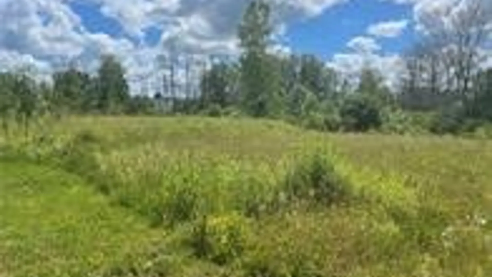 Property at Peregrin Lane, Cicero, NY 13029 4
