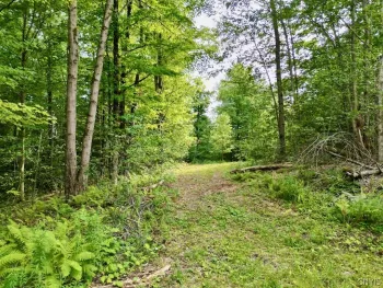 Property at 0 Hillsborough Road, Amboy, NY 13316