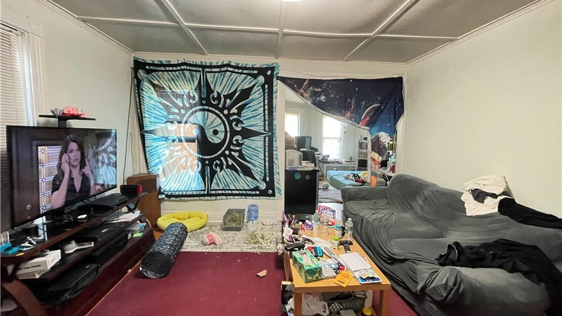 Property at 222 Bassett Street, Syracuse, NY 13210 41