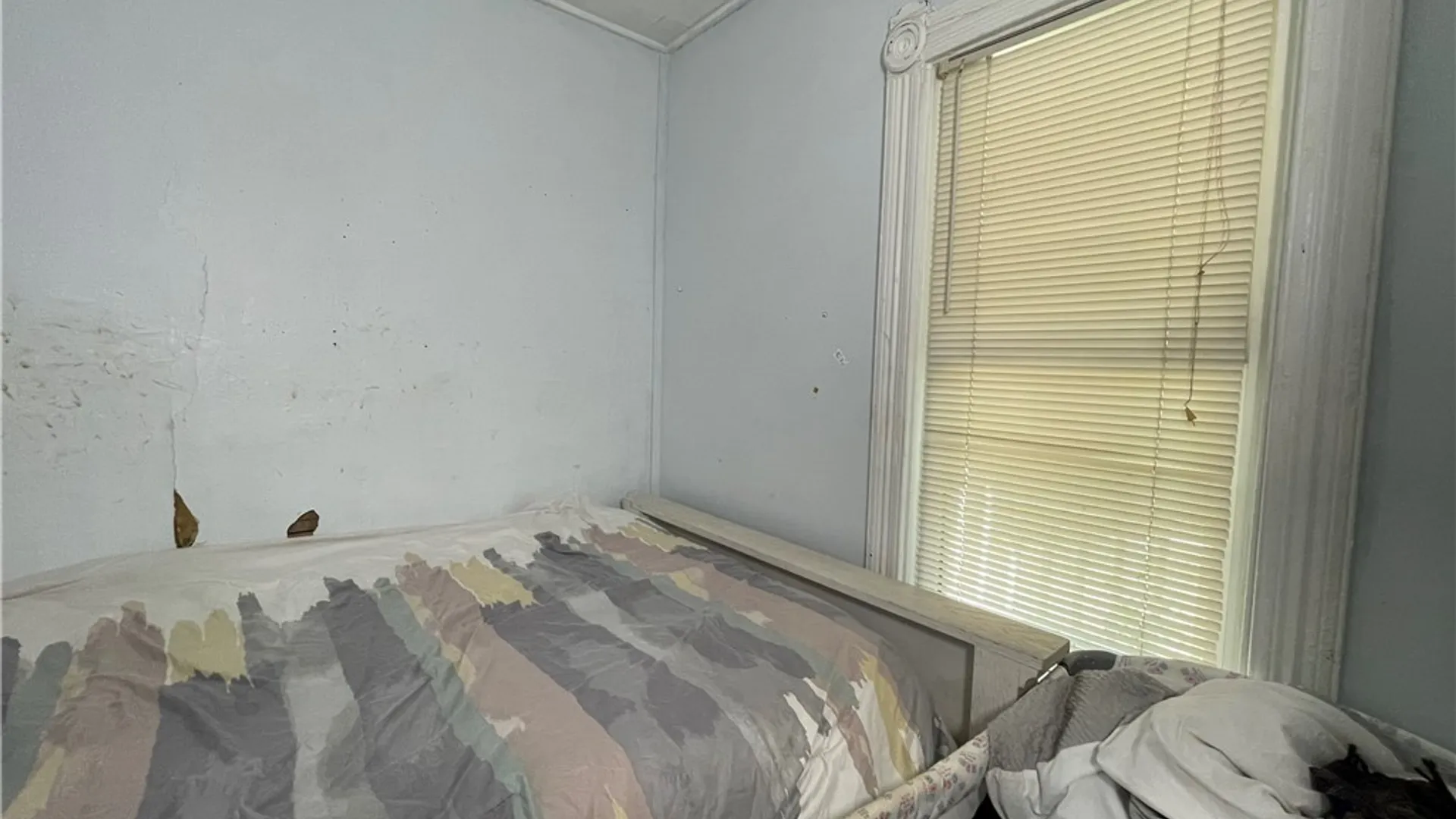 Property at 222 Bassett Street, Syracuse, NY 13210 21