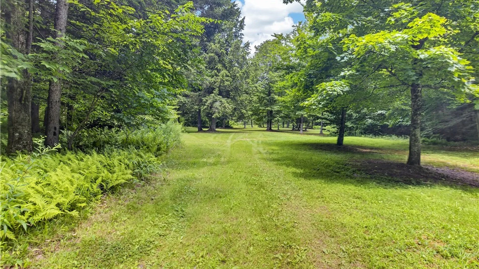 Property at 1 Buckingham RD, Ohio, NY 13324 18