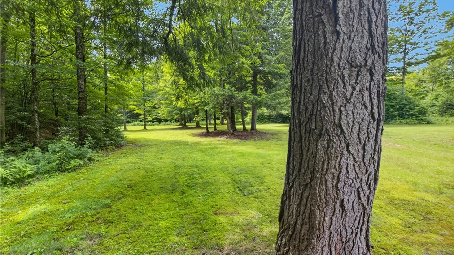 Property at 1 Buckingham RD, Ohio, NY 13324 16