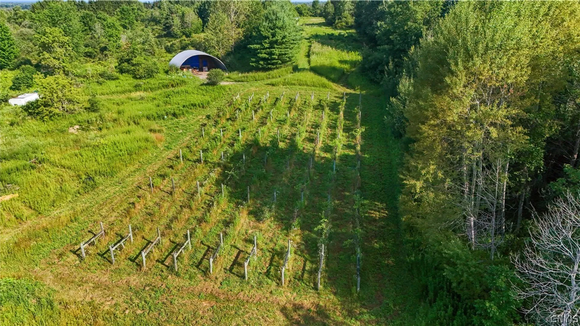 Property at 6657 Fairway Drive, Westmoreland, NY 13476 11