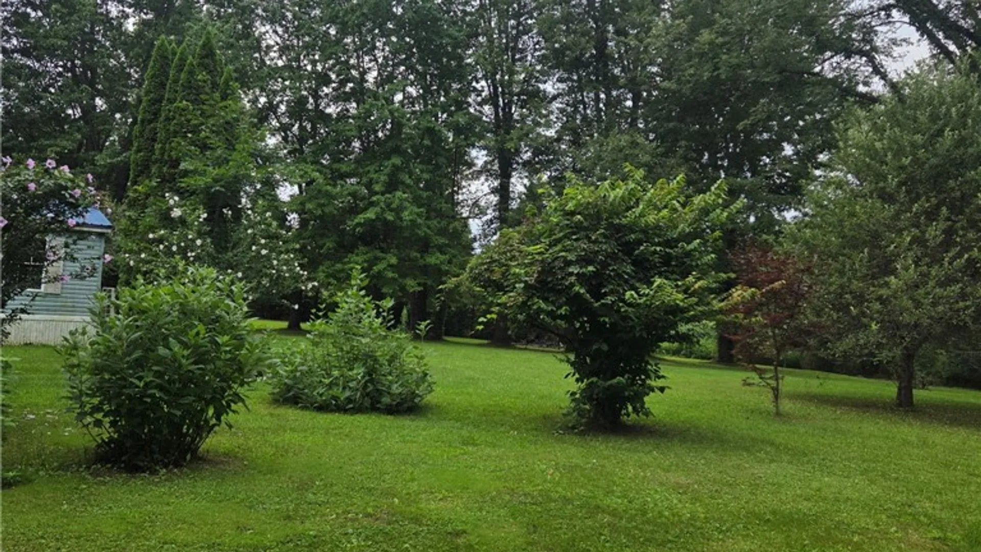 Property at 14056 Carncross Road, Savannah, NY 13146 11