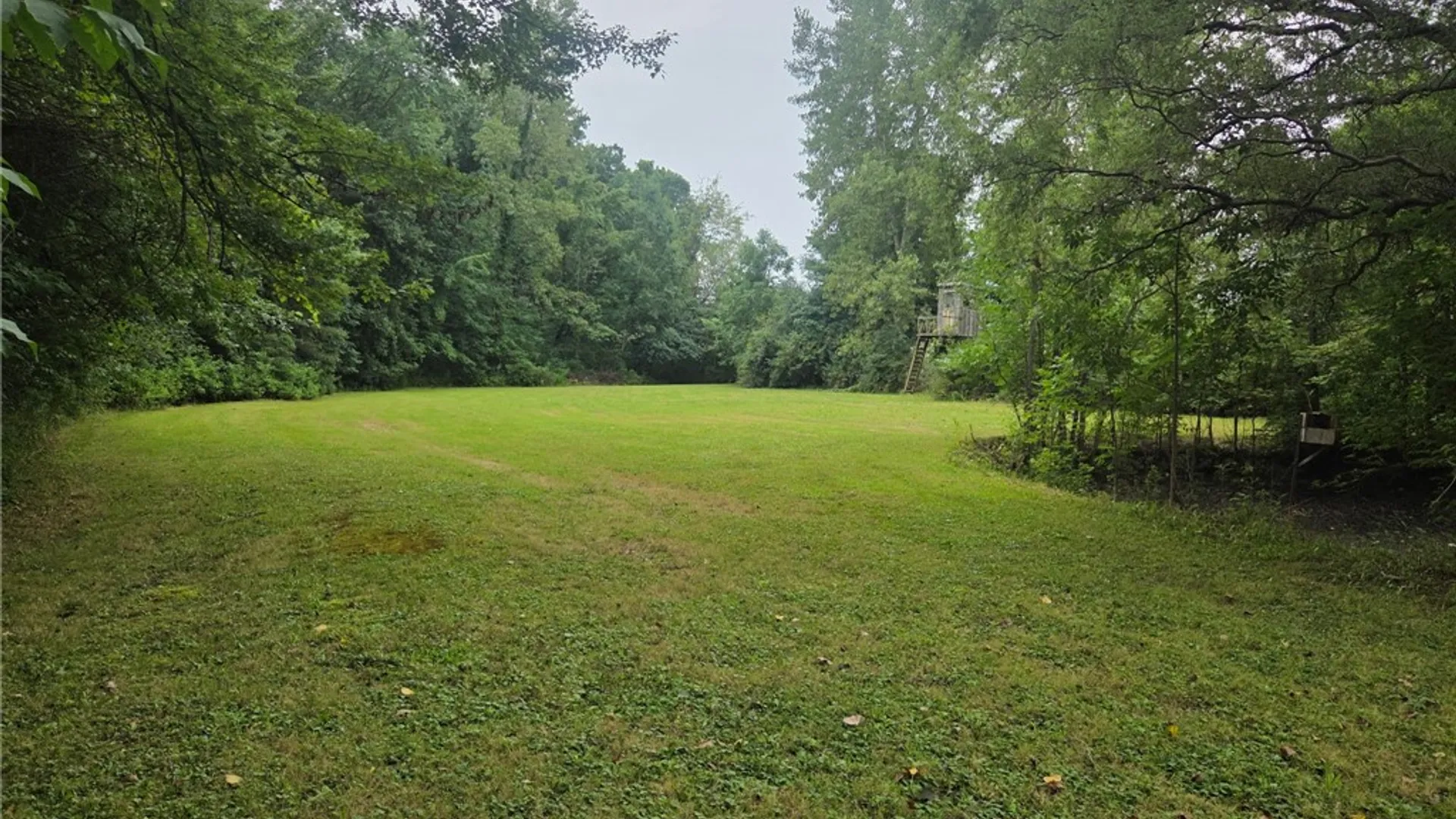 Property at 14056 Carncross Road, Savannah, NY 13146 30