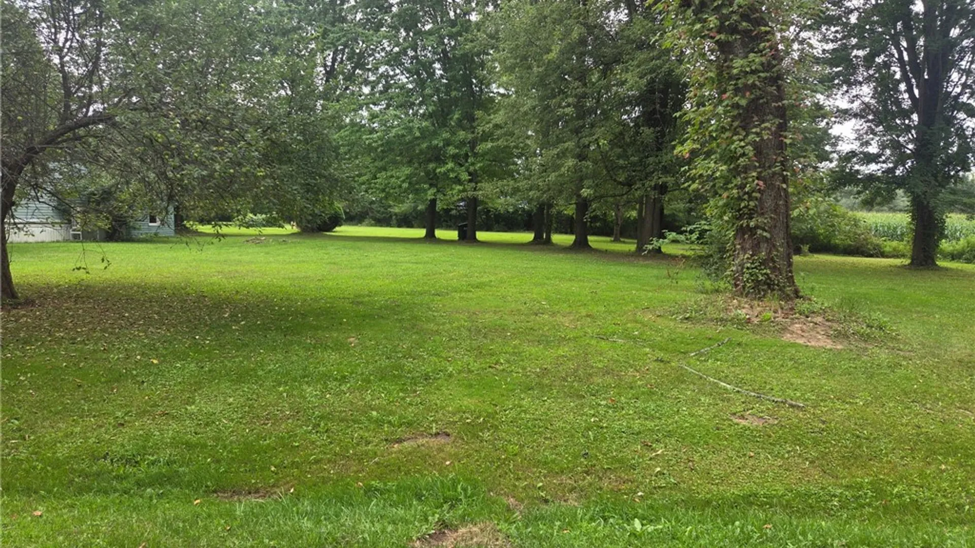 Property at 14056 Carncross Road, Savannah, NY 13146 14