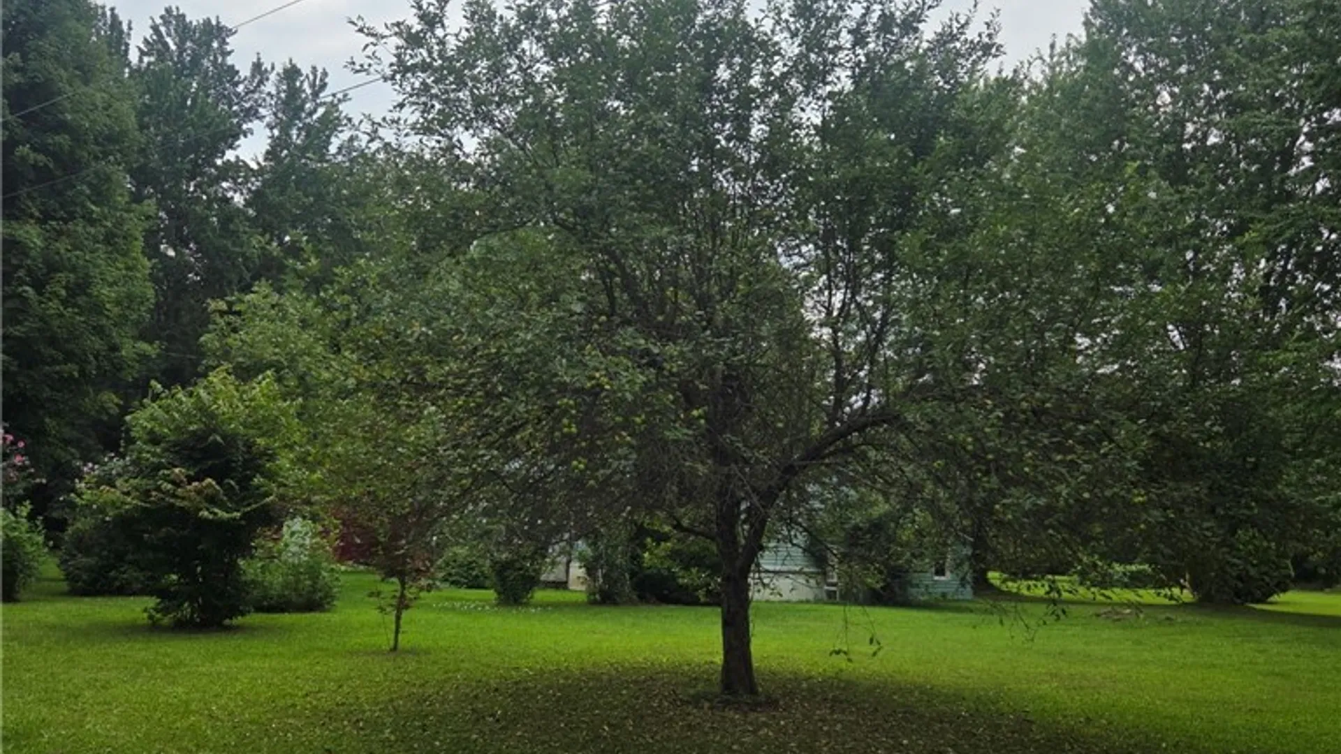 Property at 14056 Carncross Road, Savannah, NY 13146 16