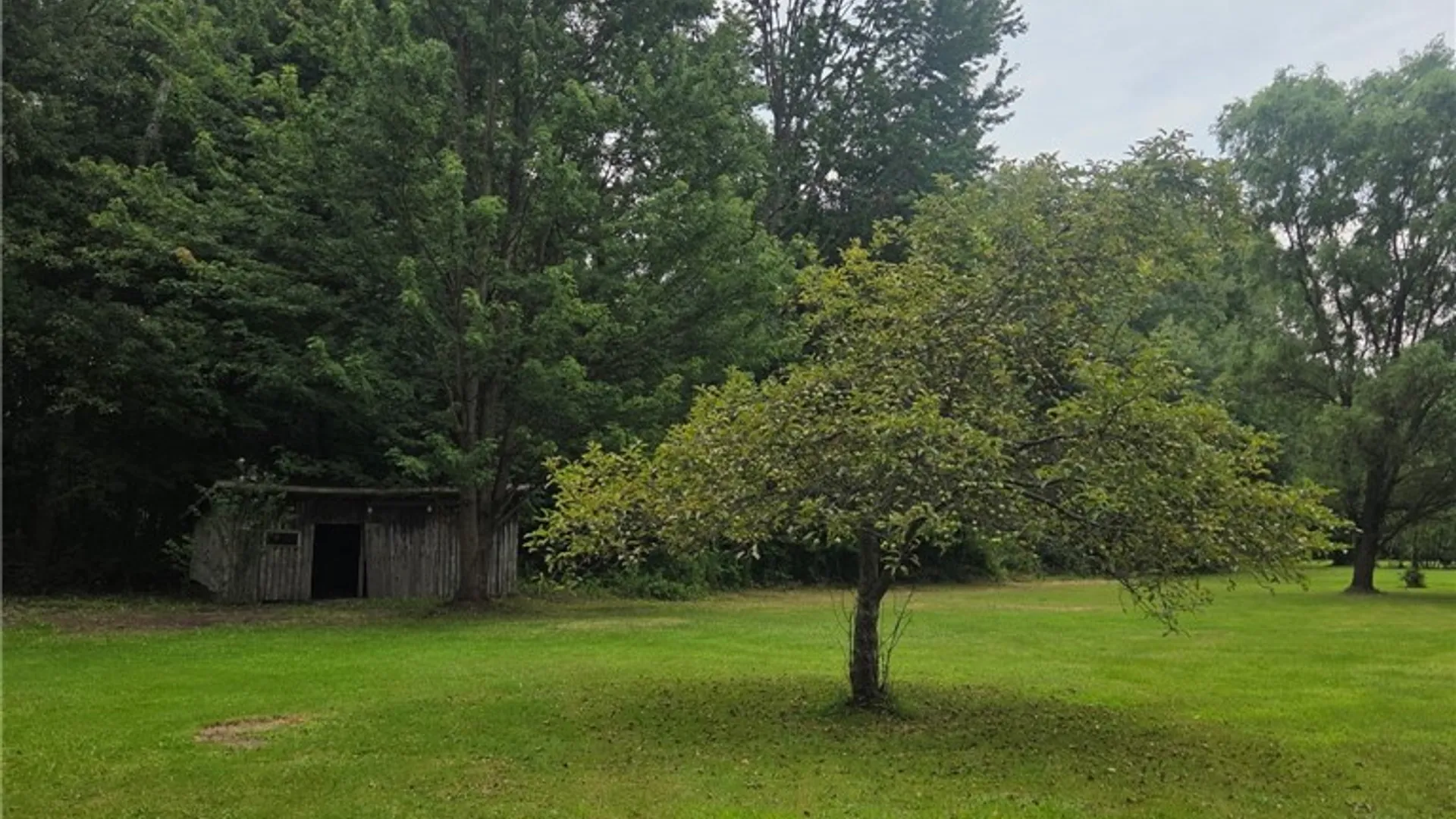 Property at 14056 Carncross Road, Savannah, NY 13146 17