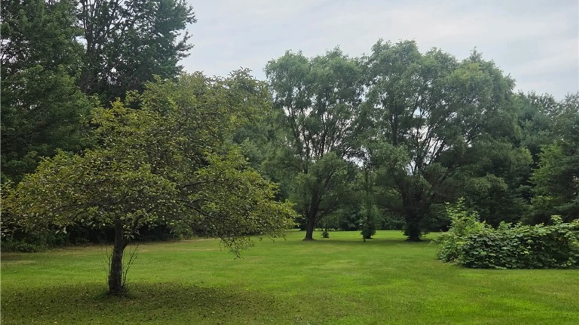 Property at 14056 Carncross Road, Savannah, NY 13146 18