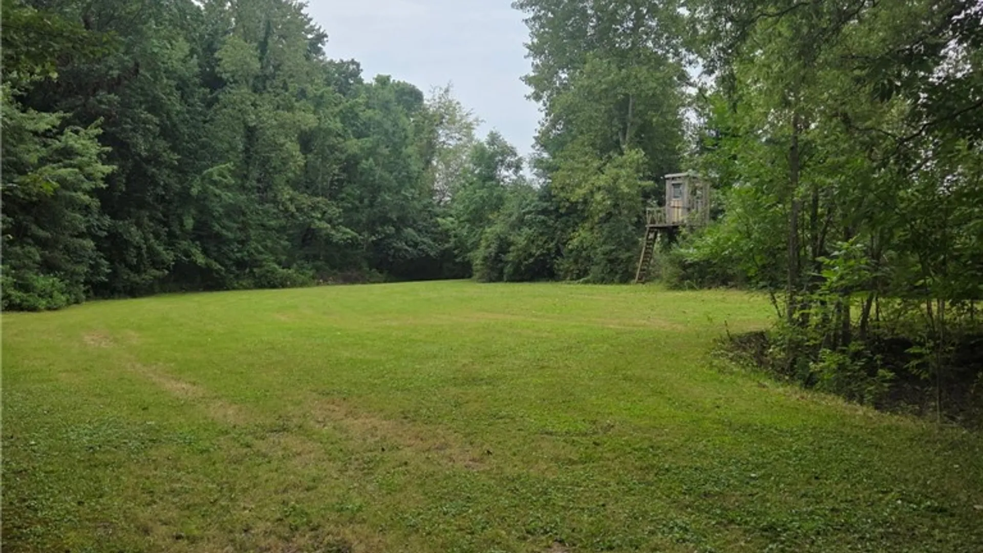 Property at 14056 Carncross Road, Savannah, NY 13146 25